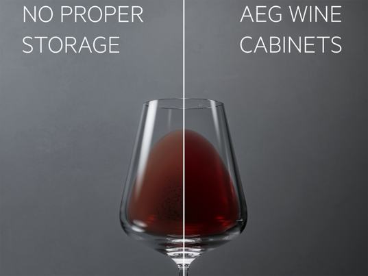 Beskyt dine vine med Cellar Pro 5 Fundamentals