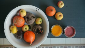 En skål med økologisk frugt som f.eks. appelsiner