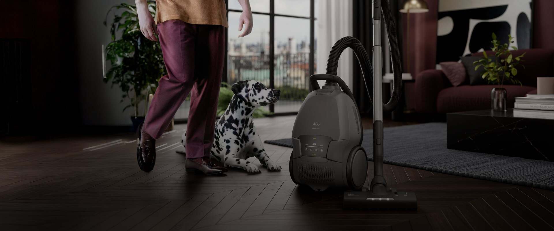 AEG støvsuger på et parketgulv i en stue, med en dalmatinerhund i baggrunden.